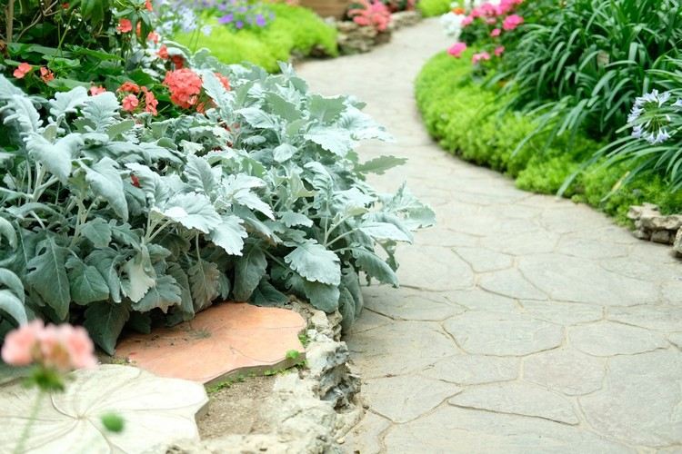 Odstráňte šťaveľ z dreva v kĺboch ​​na záhradnom chodníku a bojujte s burinou horúcou vodou