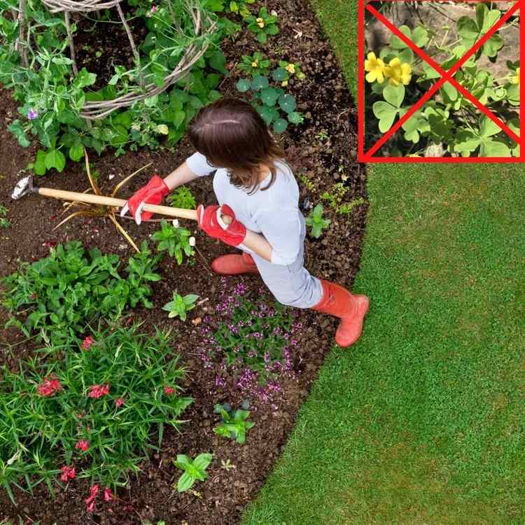 Nápady na boj so šťavou z rohu s domácimi prostriedkami