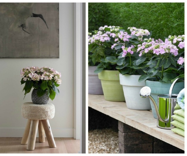 Lavičky na záhradné terasy s kvetinovými vázami