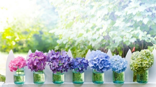 Balkónové zaváraninové poháre kvety hortenzie čerstvé