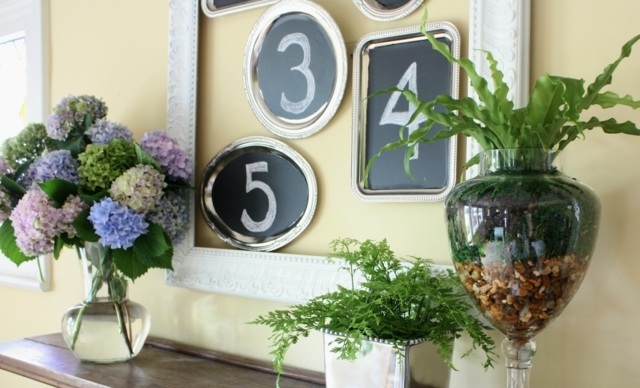 Nápady hortenzie vždyzelené rastliny