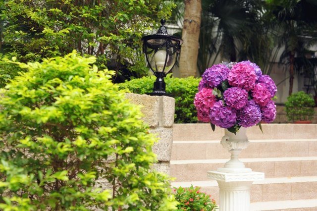 záhradné žiarovky purpurovej hortenzie schodisko pružina