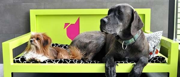 hotel pre psov stravovanie zvierat ako trendový zvierací vzor zelený