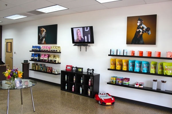 hotelové psy stravovanie zvierat ako trend v interiérovom dizajne