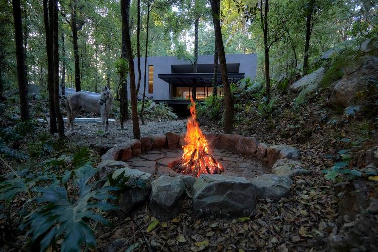 ohnisko a kôň v lese vedľa malého domu