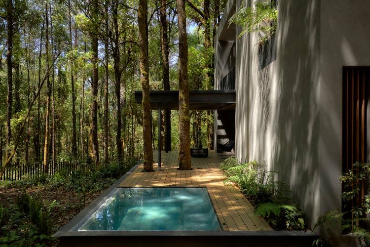 príjemný vonkajší priestor s malým bazénom uprostred lesa