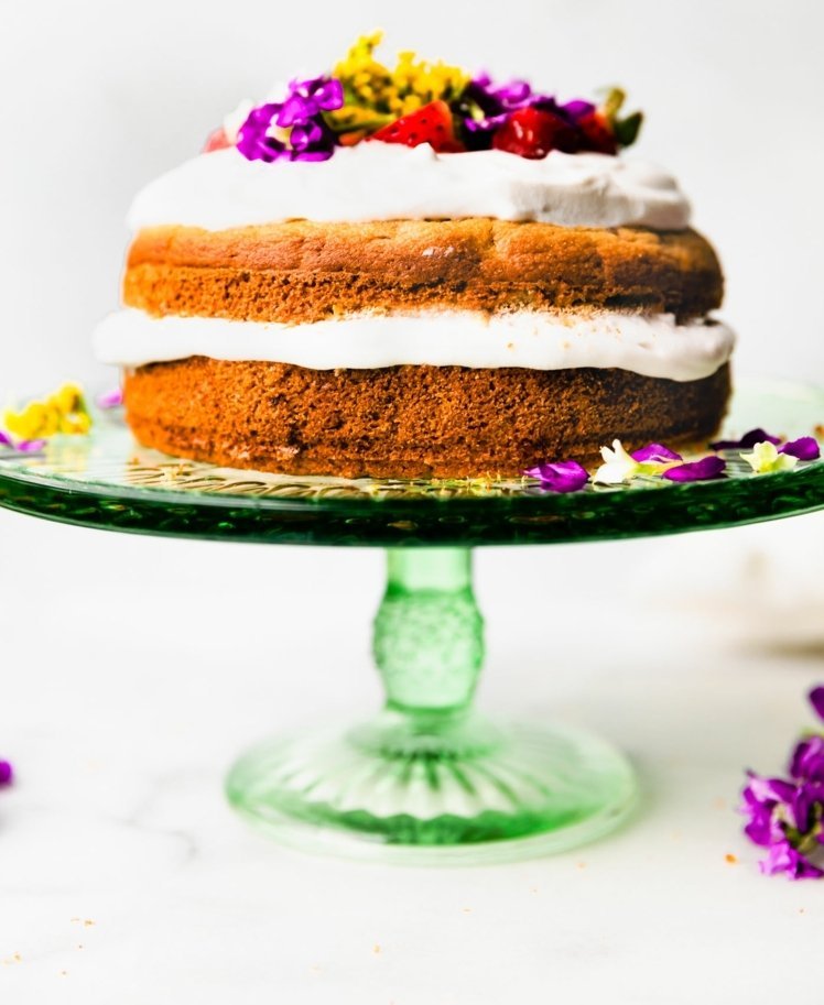 zdravé jedlo pre psov narodeninová torta domáci miláčik upeč si sám