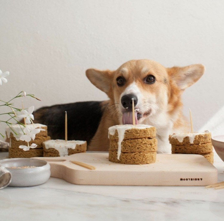 Upečte si vlastné psie sušienky recept bábiky