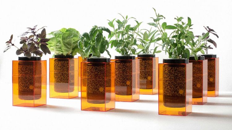 hydropónia izbové rastliny kamienky kvetináče plastové hlinené guličky granule bylinné rastliny