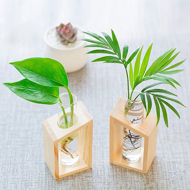 škandinávsky dizajnový závod necháva vázu na drevo hydropónia dizajnové zariadenie