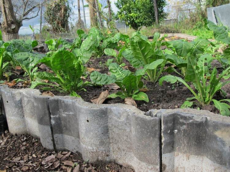 terénne úpravy s polámanými starými škridlami v sivej farbe, aby sa zabránilo burine