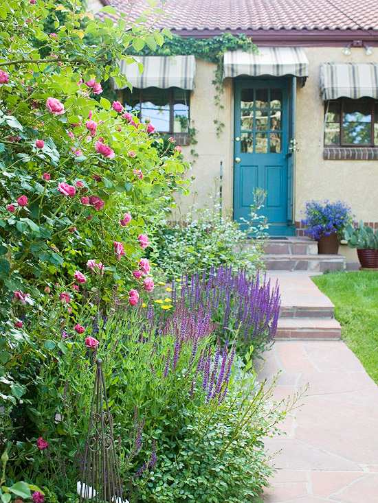 Nápady na záhradu popínavé ruže brečtanové markízy