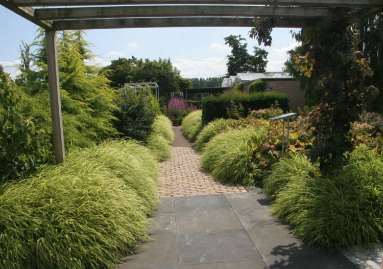 Nápady na záhradný dizajn japonsko-trávnaté kríky-repné listy-okrasné rastliny-pergola