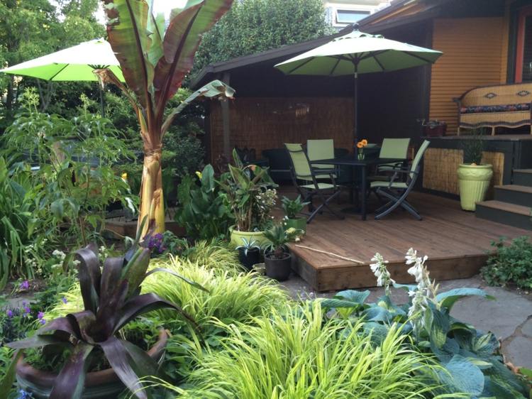 Nápady na záhradný dizajn Pôdny kryt-japonská-horská-tráva-bueschel-funkia-banán-strom-drevená terasa