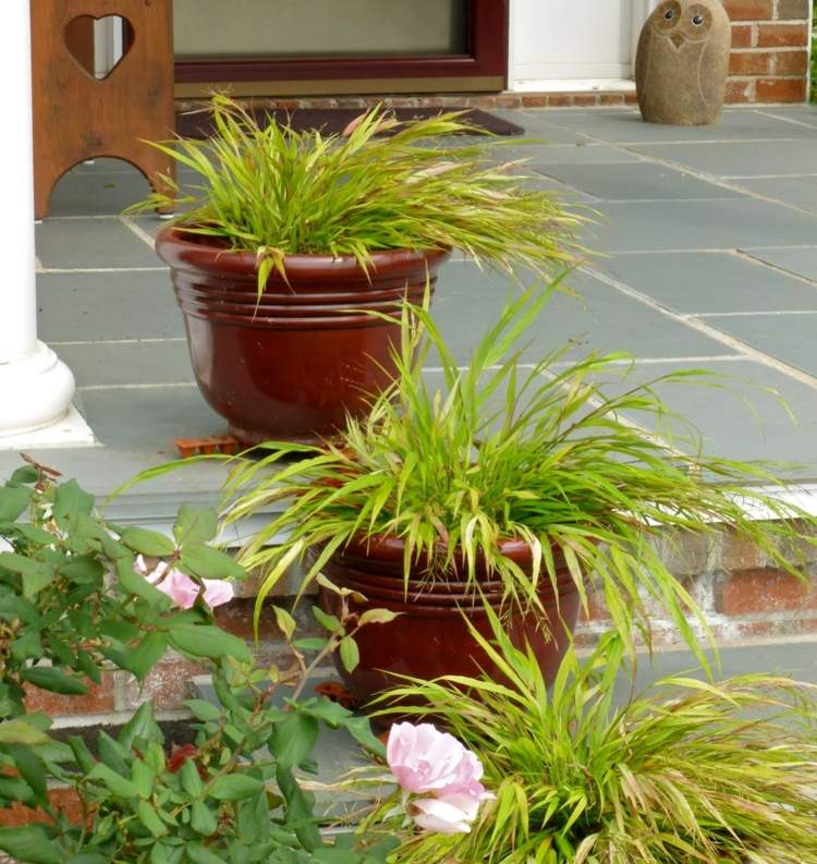 Nápady-záhradný dizajn-japonsko-horská tráva-tmavo-zelené-kríky-kvetináče-schodiskové ruže