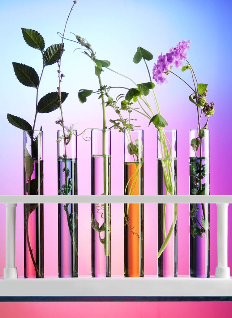 nápady-skúmavky-vázy-farba-voda-rezané kvety