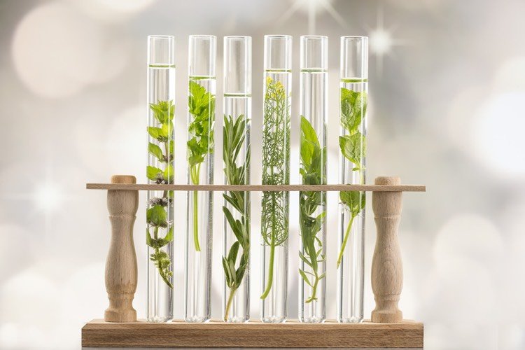 nápady na skúmavky drevený stojan-dekorácie stolu-korenie