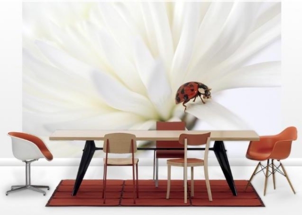 lienka biely kvet jedáleň nápady dekorácia na stenu foto tapeta lienka biely kvet