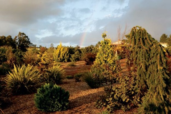 Príprava návrhu zimnej záhrady Zimná príprava záhradného dizajnu