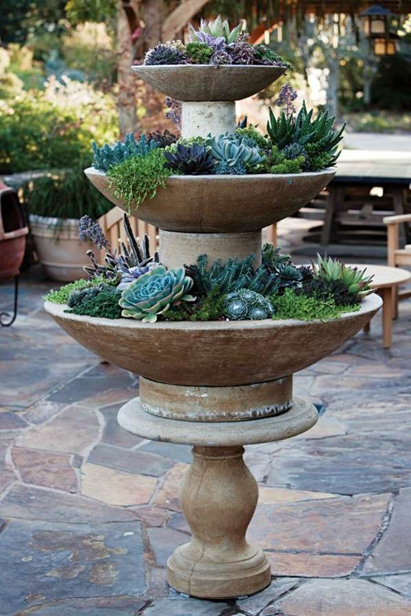 Zimná záhrada vždyzelené stonky sukulentných rastlín Terasa vždyzelené stonky sukulentné rastliny