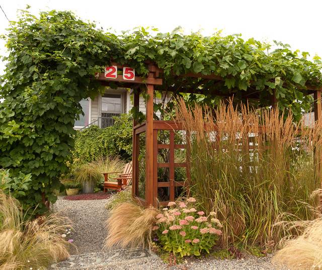 záhradný vchod pergola popínavé rastliny mexická perová tráva