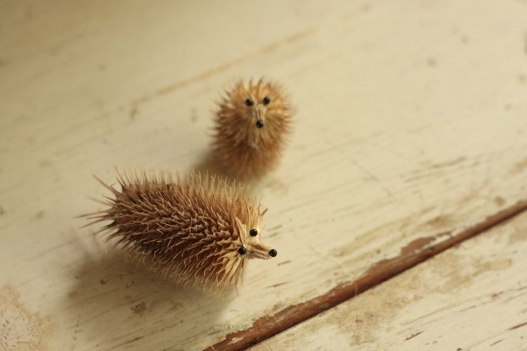 Ježko drotár bodliak-nápad-špendlíky-čierna