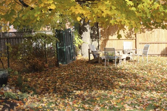 záhradné práce v októbri, čo sa tam má vykonať Záhrada v októbri práca-čo-tam-robiť