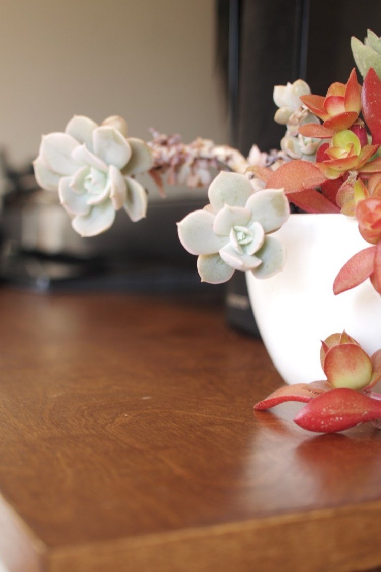 Televízna konzola s bočnicami a vrchnou doskou z dreva ikea-besta-policka-skladovy-system-povrch-drevena-optika-samozrejme