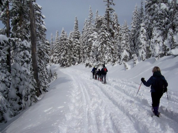 chôdza so snežnicami krvný obeh tonizuje telo zaujímavé skupinové tóny