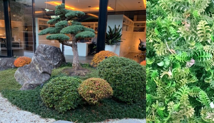 Podšívka odolná voči behúňu pre predné dvierka pre trpasličí perie