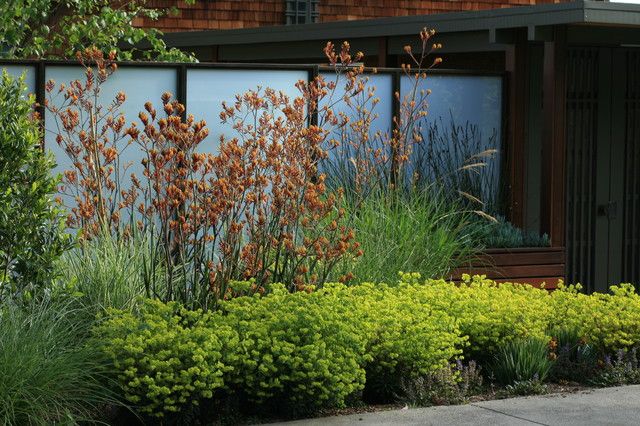 textúra dizajn moderný záhradný dizajn rastliny dekorácie trávy