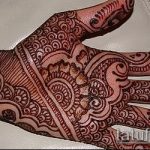 Снимка индийски мехенди - 20062017 - пример - 100 индийски мехенди_