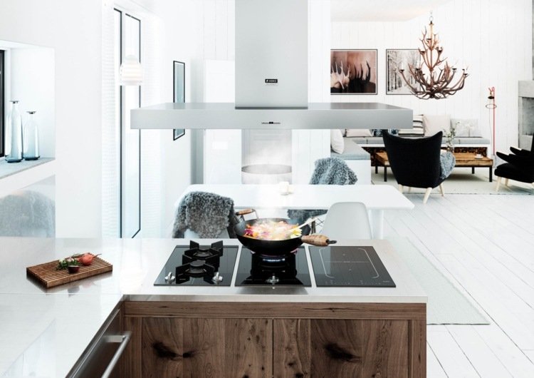 indukcia-ceran-domino-idea-odsavac-digestor-moderna-kuchyna