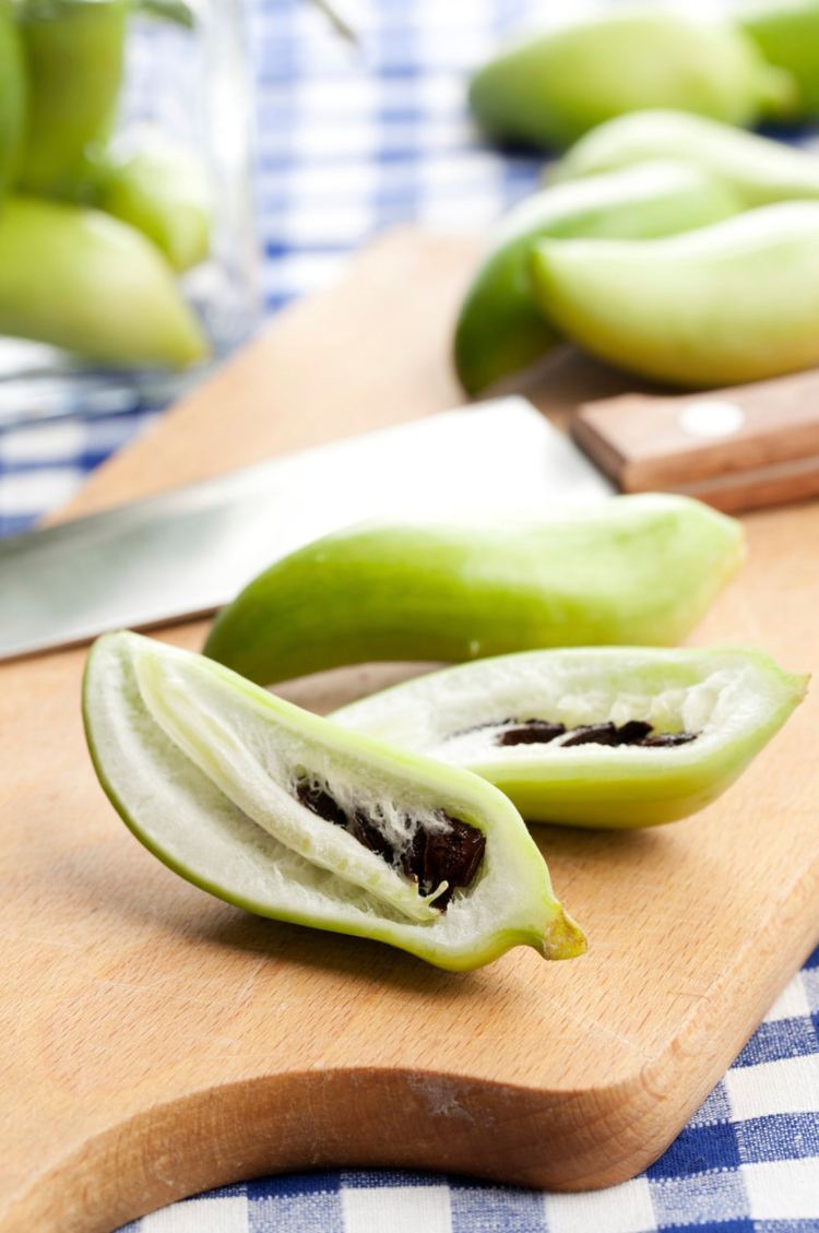 Varenie a príprava inckých uhoriek tipy a nápady na recepty