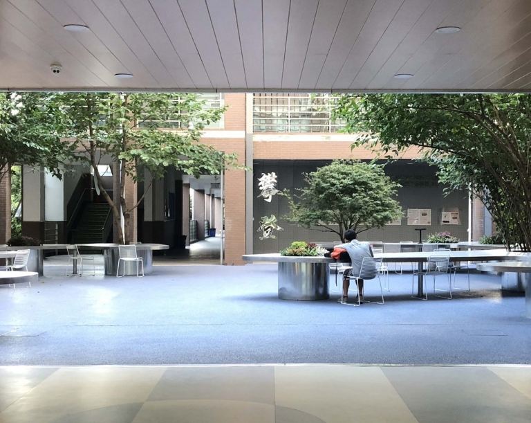 Navrhnite vnútorné nádvorie, vysaďte stromy, nápady, školský dvor