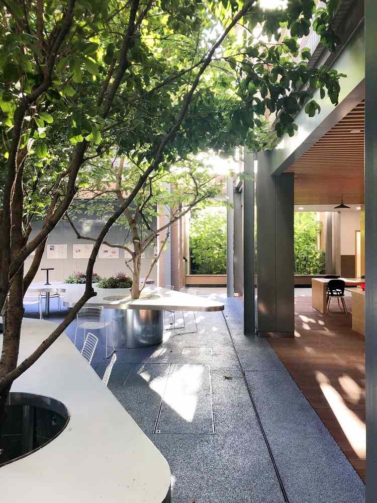 Dizajn dvora moderná školská fasáda drevené sklo