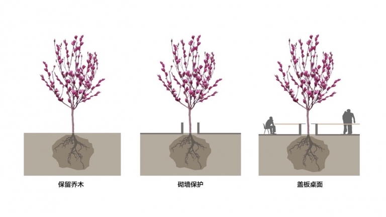 Navrhnite vnútorné nádvorie, stromy, plán rastlín, nápady