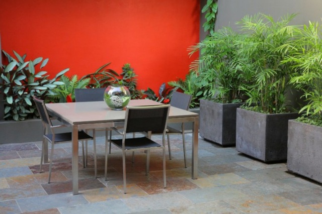 V črepníkoch vane vždyzelených popínavých rastlín ozelenenie