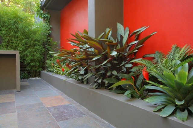 Rastliny nápady na úsporu miesta rastliny na malé ploty