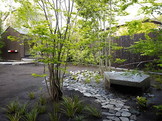 vysadená moderná záhrada so stromami