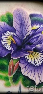 Írisz tetoválás fényképes példája egy íriszes tetoválás jelentését bemutató cikkhez 43