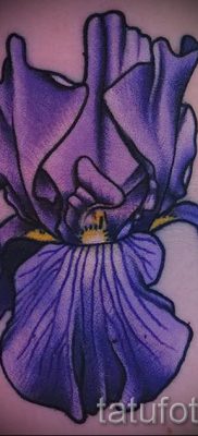 Írisz -tetoválás fényképes példája egy írisz -tetoválás jelentését bemutató cikkhez 41