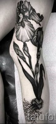 Írisz -tetoválás fényképes példája egy írisz -tetoválás jelentését bemutató cikkhez 40