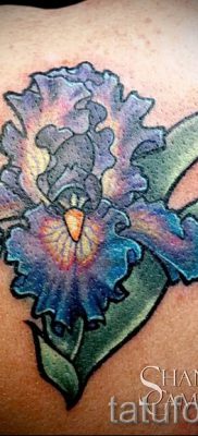 Írisz -tetoválás fényképes példája egy írisz -tetoválás jelentését tartalmazó cikkhez 36