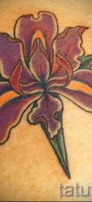 Írisz -tetoválás fényképes példája egy írisz -tetoválás jelentésével foglalkozó cikkhez 35