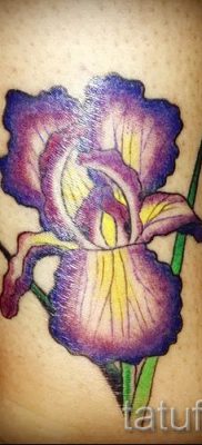 Írisz -tetoválás fényképes példája egy íriszes tetoválás jelentését bemutató cikkhez 34