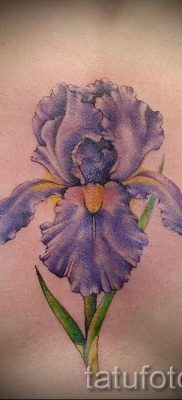 Írisz tetoválás fényképes példája egy íriszes tetoválás jelentését bemutató cikkhez 31