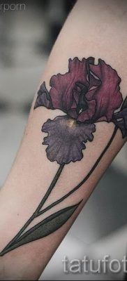 foto-primer-tatu-iris-dlya-stati-pro-znachenie-tatuirovki-s-irisom-027-tatufoto-ru
