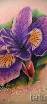 Írisz -tetoválás fényképes példája egy íriszes tetoválás jelentését bemutató cikkhez 22