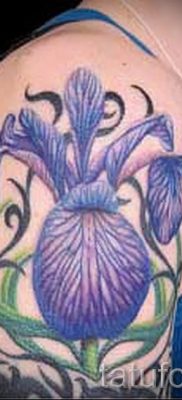 Írisz -tetoválás fényképes példája egy íriszes tetoválás jelentését bemutató cikkhez 21